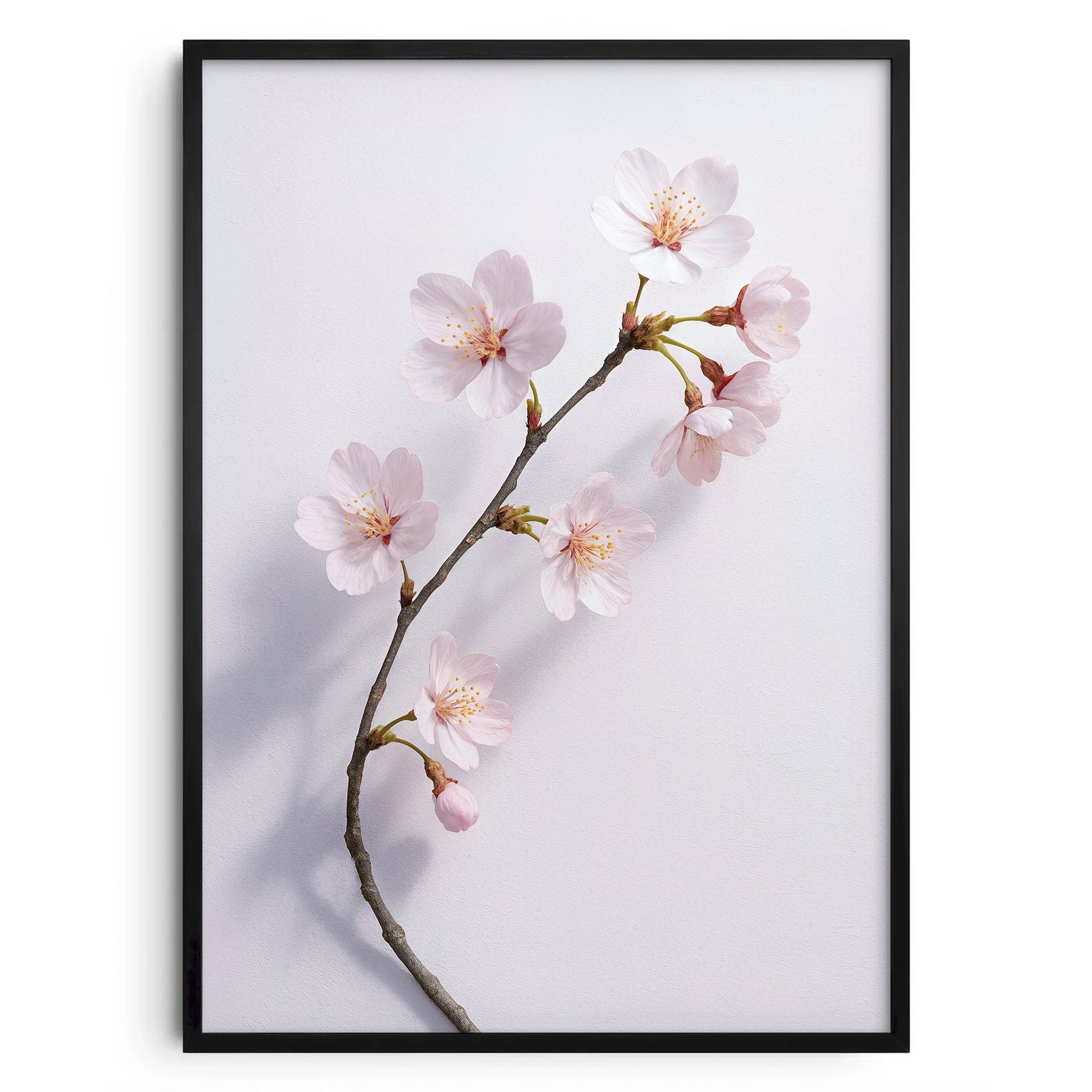 „Sakura“ - Kirschblüten Poster aus der Botanical Silence Reihe