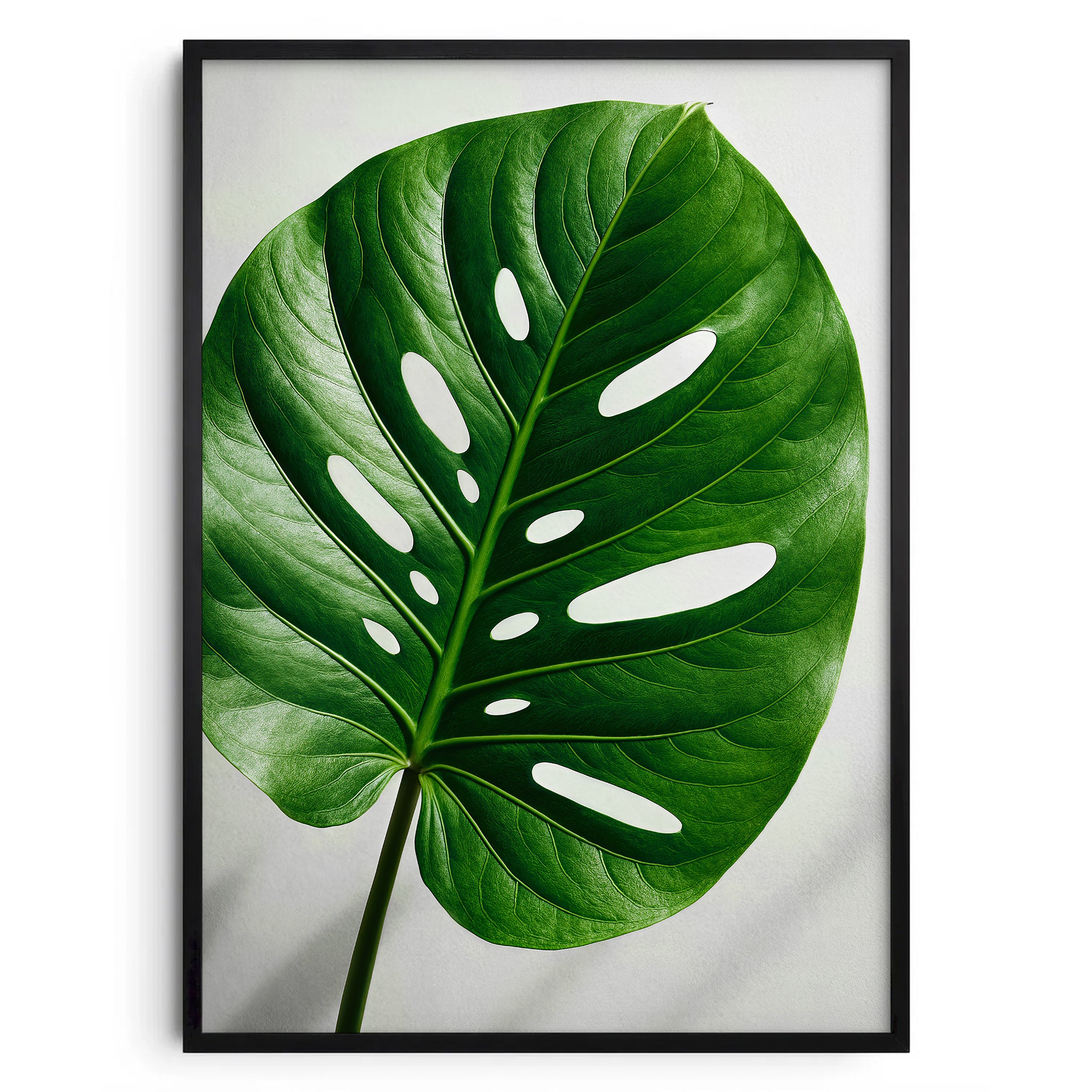 Monstera Leaf - Monstera Poster aus der Botanical Silence Reihe